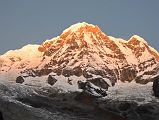 01 Annapurna South At Sunrise From Annapurna Base Camp In The Annapurna Sanctuary 